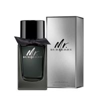 Burberry Mr. Burberry parfémovaná voda pro muže 100 ml PBURBMRBURMXN109416
