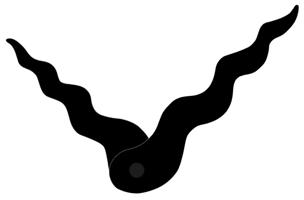 Hodinové ručičky HRP202