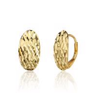 Náušnice SVLE3529XJ6GO00