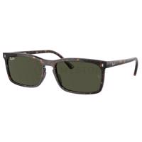 Ray-Ban RB4435 902/31 56