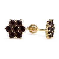 Stříbrné zlacené náušnice Kytka s Granáty - šroubek