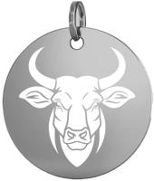 Stříbrný přívěsek zvěrokruh býk 15 mm