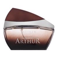 Yardley Arthur toaletní voda pro muže 100 ml PYARDARTURMXN143061