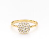 Zlatý 585/1000 prsten se zirkony 39SJ7165